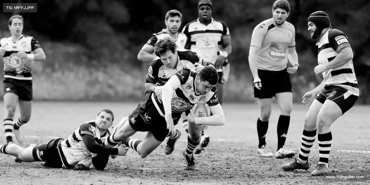 leyu体育登录网页入口🏓小球转动大梦想，汗水铸就新辉煌！你的体育之旅，从这里开始～